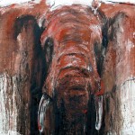 Ralf Koenemann elefant33