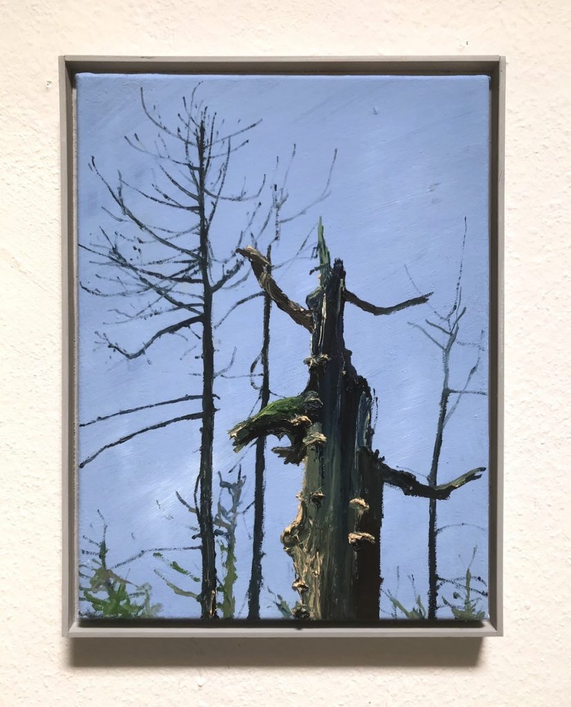 Hommes Saxana Berlin III 5.2020R 9 DU Baumportrait RHW ... der Himmel ist blau 44 x 33 cm Öl a.Lw . plein air 2019