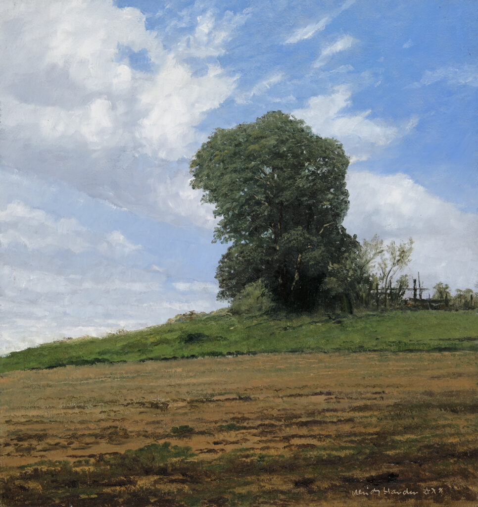 harder der baum 2020 275x26cm oelhartfaser dsf3071 2