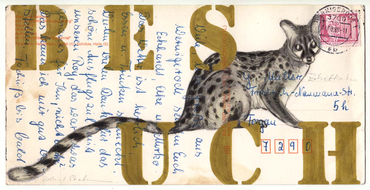 ROLAND STRATMANN Zibetkatze, 2022, Zeichentusche auf gel. Postkarten, 11 x 21 cm