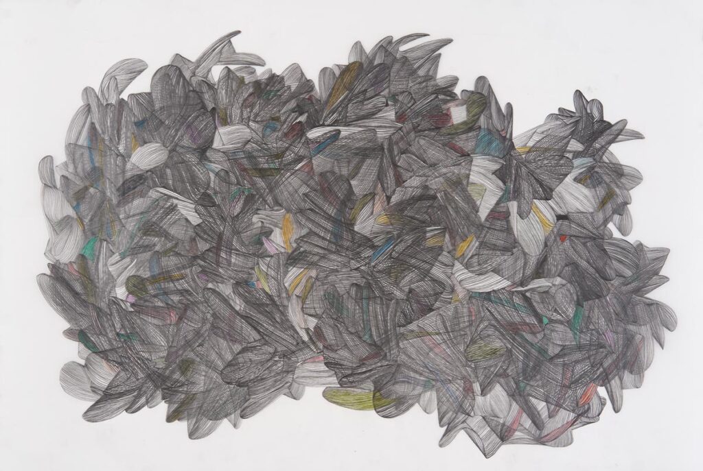 SUSANNE ACKERMANN o. T. 12 2020 Grafit Polychromos auf Zeichenfolie 46 x 64 cm